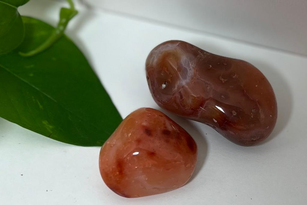 Carnelian  Red Agate Tumbled Stones