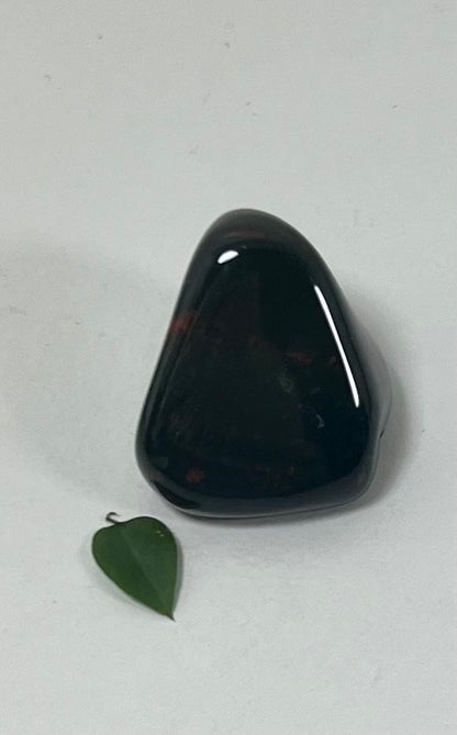 Jasper Bloodstone Tumbled Stones