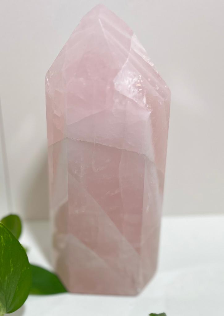 Rose Quartz Generator U#56 Forever Love