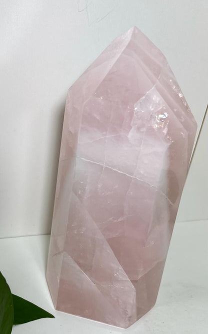 Rose Quartz Generator U#56 Forever Love