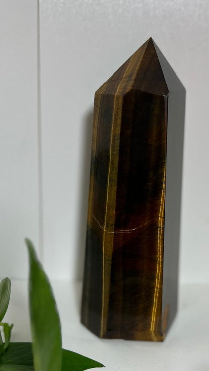 Tiger Eye Generator U#- 7